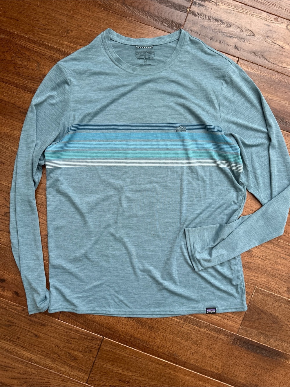 Patagonia Capilene Cool Daily Graphic Long Sleeve Medium Tee Blue Wool Active